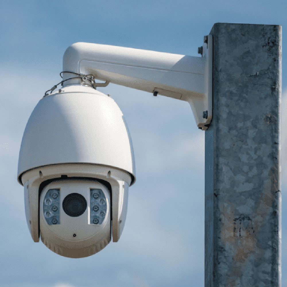 Pan-Tilt-Zoom (PTZ) Cameras